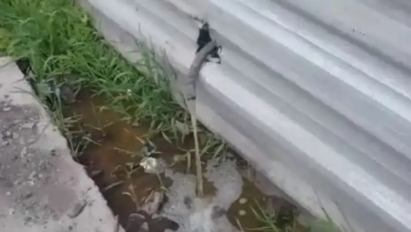 Сыртқы BDSM фотосуреттері