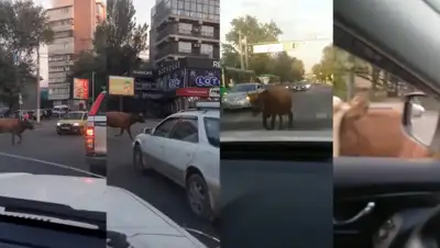 Instagram, фото - Новости Zakon.kz от 08.09.2020 20:10