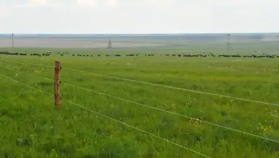 Петропавловск News, фото - Новости Zakon.kz от 23.07.2019 11:29