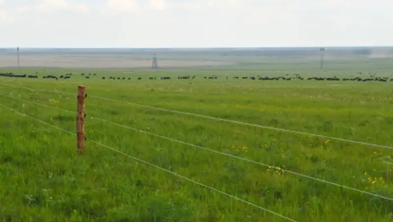 Земельный вопрос вынесут на обсуждение Нацсовета общественного доверия