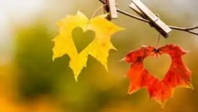 Zakon.kz, фото - Новости Zakon.kz от 19.09.2017 23:17