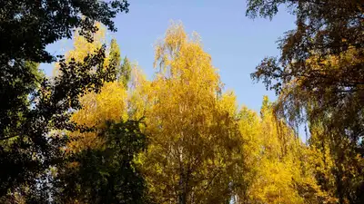 Резкие перепады температуры прогнозируют синоптики в Казахстане на выходных , фото - Новости Zakon.kz от 22.09.2023 14:59