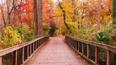 Аномальное тепло вернется в Казахстан, фото - Новости Zakon.kz от 13.11.2023 10:47