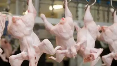 Vgorode, фото - Новости Zakon.kz от 25.05.2018 23:27