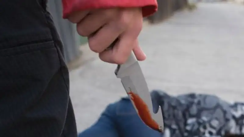 Алматы облысында ішімдікке тойып алған тәжік азаматтарының бірі екіншісін пышақтап тастады