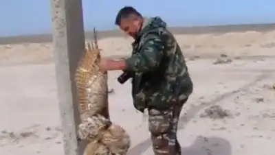 Zakon.kz, фото - Новости Zakon.kz от 14.05.2015 23:20