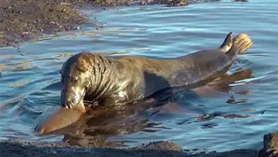 Zakon.kz, фото - Новости Zakon.kz от 17.02.2016 17:47