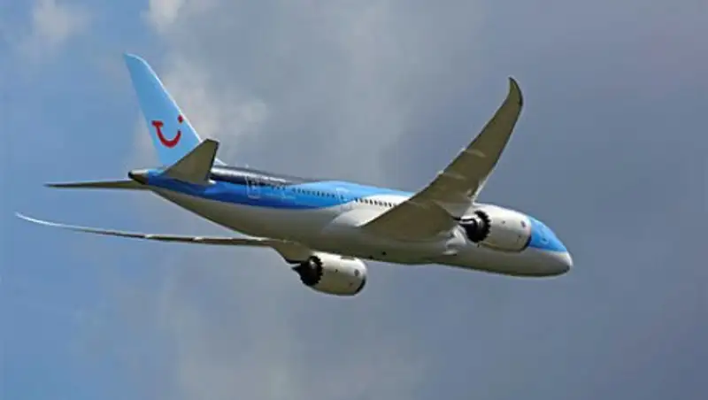 Самолет с потерявшими сознание стюардессами экстренно сел в США