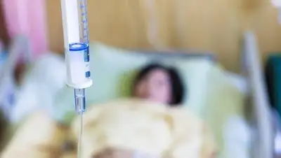 VSE42.Ru, фото - Новости Zakon.kz от 24.08.2018 07:09