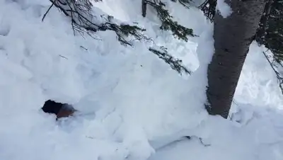 КЧС МВД РК, фото - Новости Zakon.kz от 09.03.2018 19:07