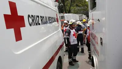 Zakon.kz, фото - Новости Zakon.kz от 29.12.2017 12:55