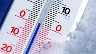 Zakon.kz, фото - Новости Zakon.kz от 25.11.2014 16:27