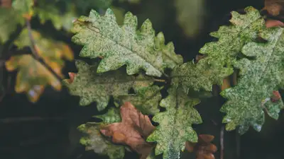 Синоптики обещают дождь в зоне ЧС в Абайской области, фото - Новости Zakon.kz от 14.06.2023 06:21