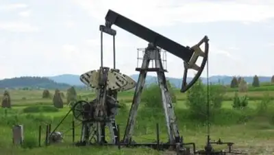 Zakon.kz, фото - Новости Zakon.kz от 07.11.2014 18:43