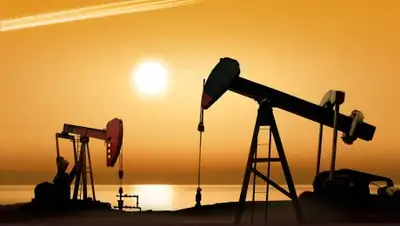 Zakon.kz, фото - Новости Zakon.kz от 06.06.2016 16:12