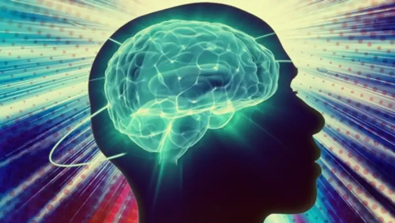 Сканирование мозга показало, как формируются новые идеи