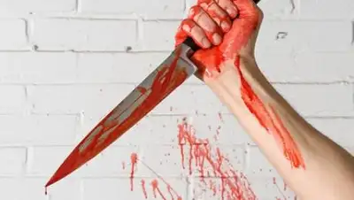 dvinainform.ru, фото - Новости Zakon.kz от 21.01.2021 08:44