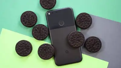 Zakon.kz, фото - Новости Zakon.kz от 08.09.2017 21:03