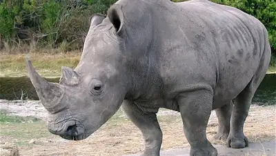 Zakon.kz, фото - Новости Zakon.kz от 16.12.2014 02:14