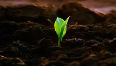 Zakon.kz, фото - Новости Zakon.kz от 17.11.2014 18:19