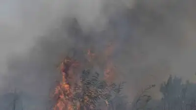 zakon.kz / Павел Михеев, фото - Новости Zakon.kz от 10.08.2021 12:26