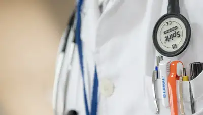 pixabay, фото - Новости Zakon.kz от 17.10.2019 12:06