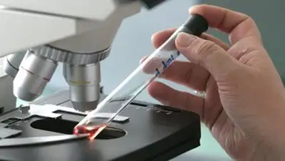 og.ru, фото - Новости Zakon.kz от 07.02.2018 23:29