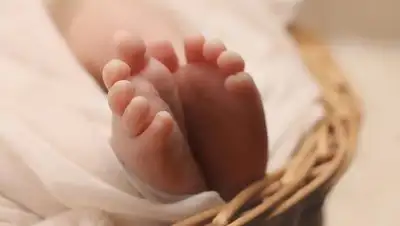 pixabay.com, фото - Новости Zakon.kz от 27.02.2021 01:37