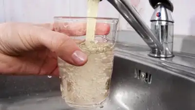 Zakon.kz, фото - Новости Zakon.kz от 29.12.2016 21:41