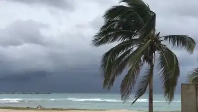 Zakon.kz, фото - Новости Zakon.kz от 10.08.2017 19:31