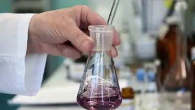 Фото: РИА Новости / Александр Кряжев, фото - Новости Zakon.kz от 20.12.2017 14:14