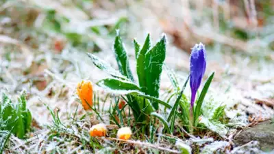 news.bigmir.net, фото - Новости Zakon.kz от 24.05.2019 09:12