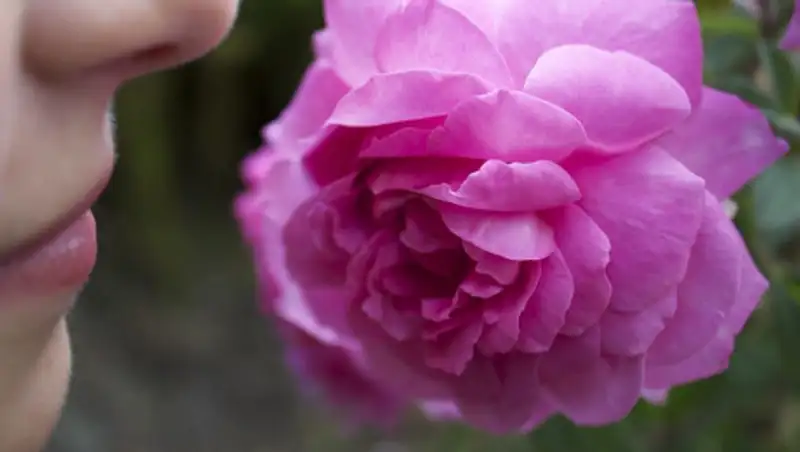 Исследователи выявили отличия потери обоняния от COVID и простуды