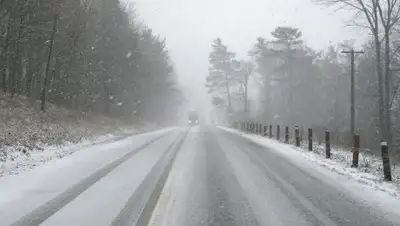 pixabay.com, фото - Новости Zakon.kz от 25.01.2020 14:43