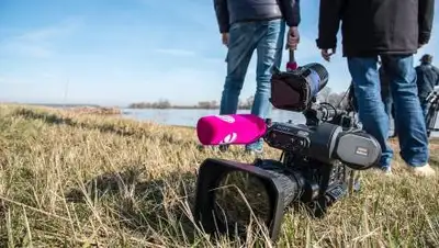 Pixabay, фото - Новости Zakon.kz от 06.10.2020 11:52