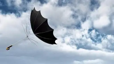 ODF, фото - Новости Zakon.kz от 15.03.2019 21:21