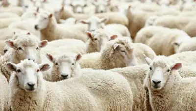 Zakon.kz, фото - Новости Zakon.kz от 22.09.2015 17:58