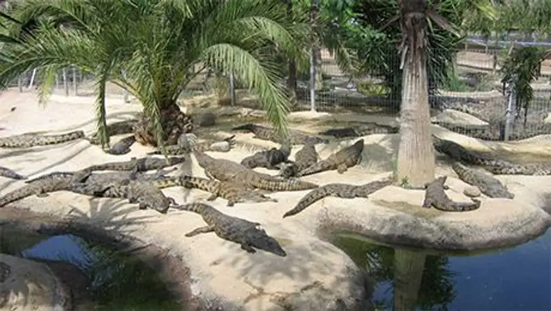 В Таиланде женщина совершила суицид с помощью крокодилов