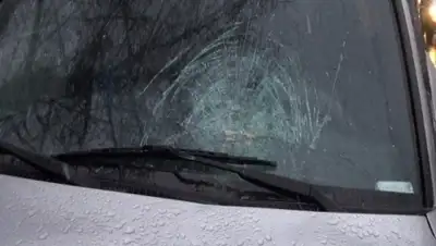 Zakon.kz, фото - Новости Zakon.kz от 26.11.2014 16:47