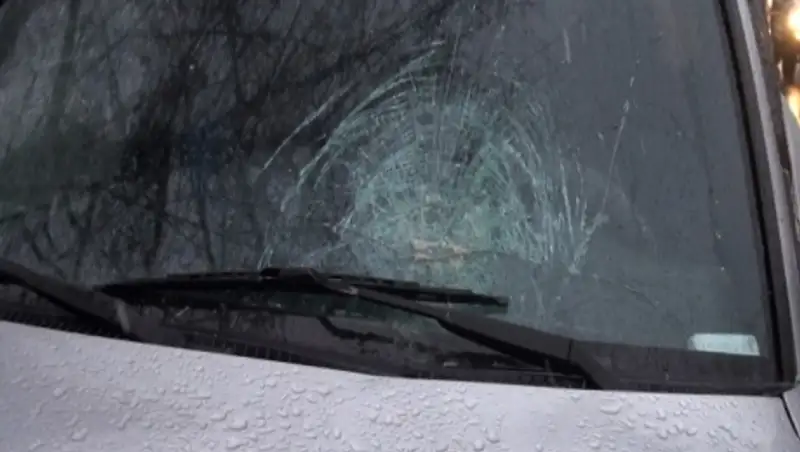 В Алматы насмерть сбили пожилого пешехода