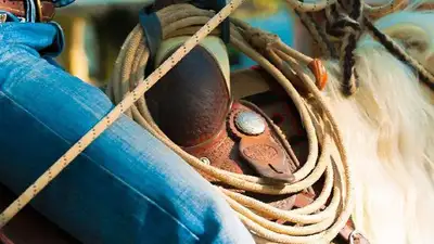 11 человек привлекут к ответственности за игру в кокпар на автотрассе в Жетысуской области, фото - Новости Zakon.kz от 28.02.2023 06:18