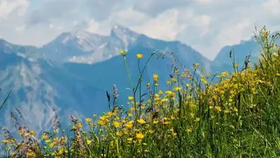 pixabay.com, фото - Новости Zakon.kz от 05.04.2021 16:46