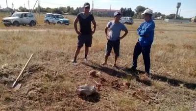 sotreport.kz, фото - Новости Zakon.kz от 09.08.2019 09:41