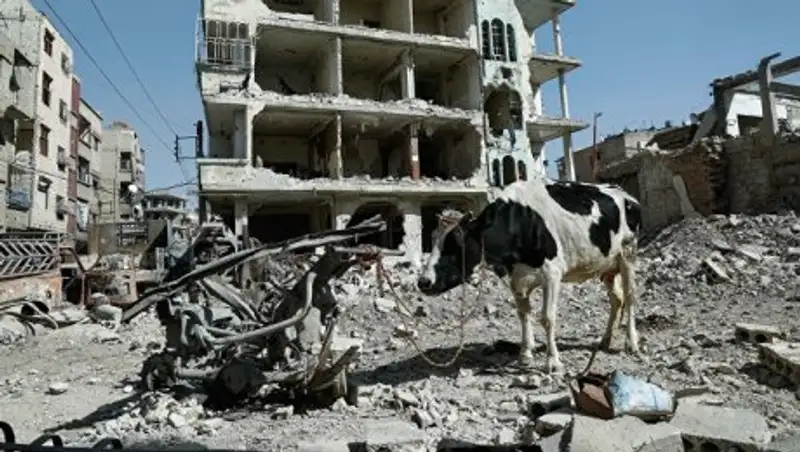 В Сирии за неделю пресекли три попытки применения химоружия боевиками