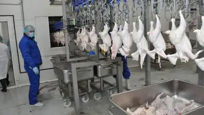 Zakon.kz, фото - Новости Zakon.kz от 30.01.2015 00:16