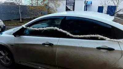 петропавловск.news, фото - Новости Zakon.kz от 29.10.2019 00:10