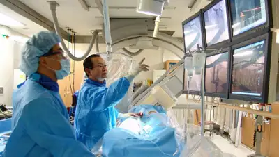 awo.kz, фото - Новости Zakon.kz от 27.02.2020 11:41