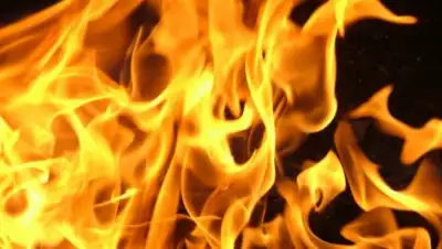 Zakon.kz, фото - Новости Zakon.kz от 08.09.2017 17:36