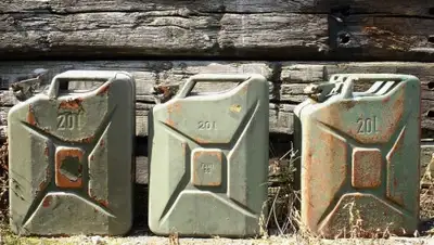 yandex.ru, фото - Новости Zakon.kz от 08.04.2020 22:46