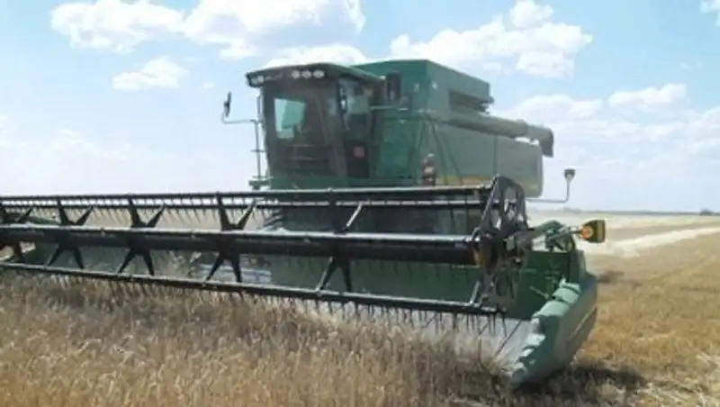 В Костанайской области погода мешает завершению уборочной кампании
